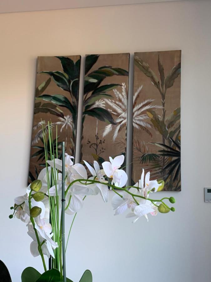 Dcm Lofts Appartement Arcozelo  Buitenkant foto